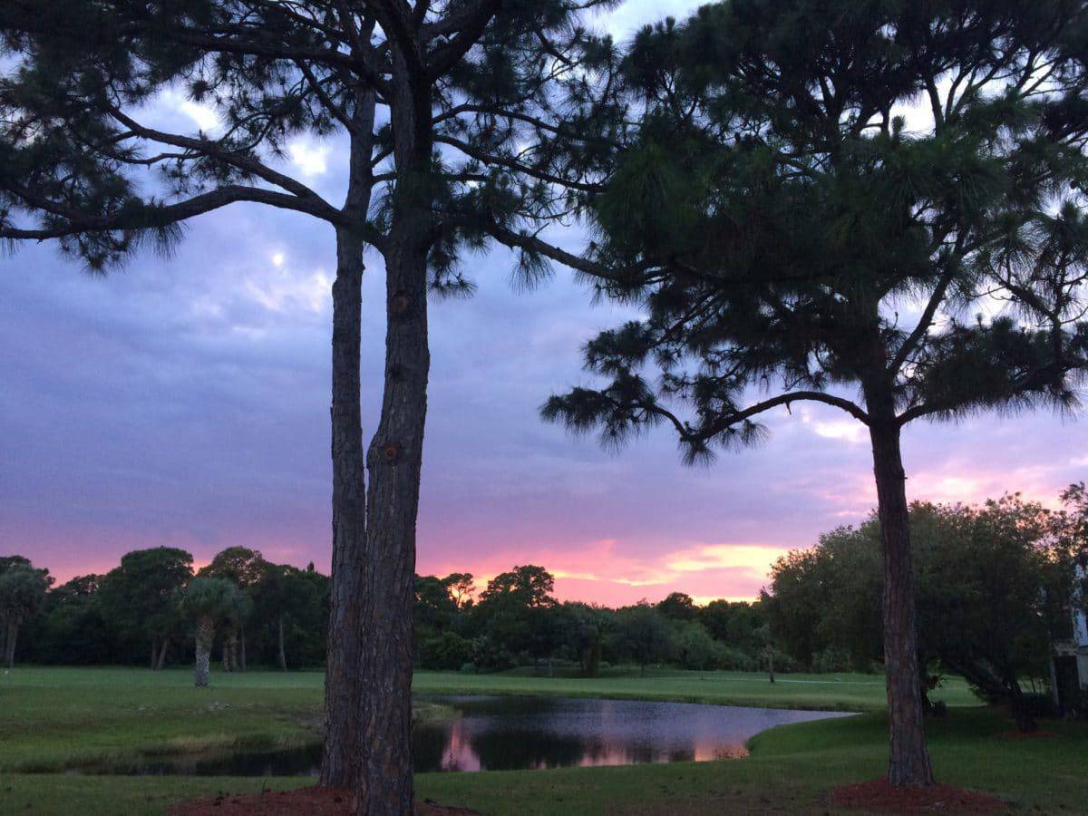 Gator Trace Golf & Country Club