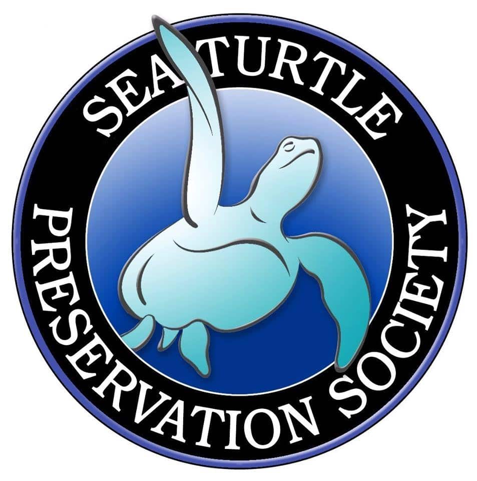 Sea Turtle Preservation Society Of Melbourne Beach