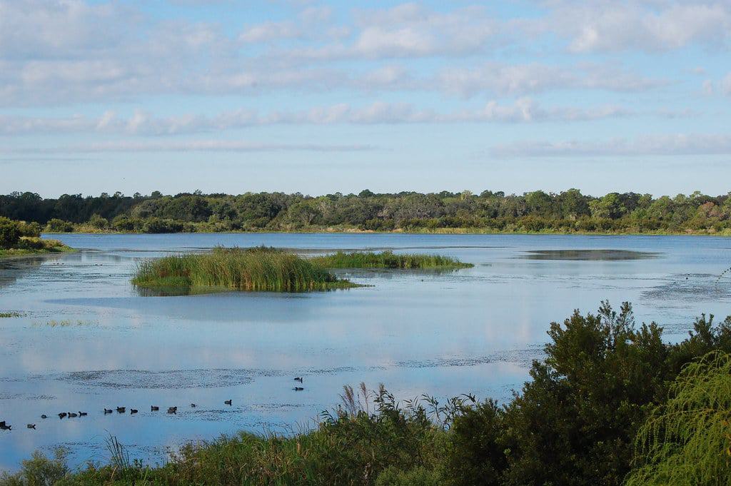 Marshall Hampton Reserve