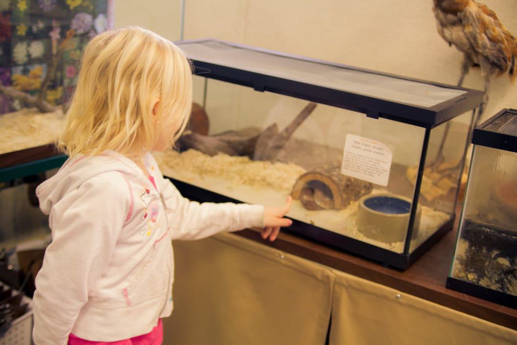 Trout Lake Nature Center