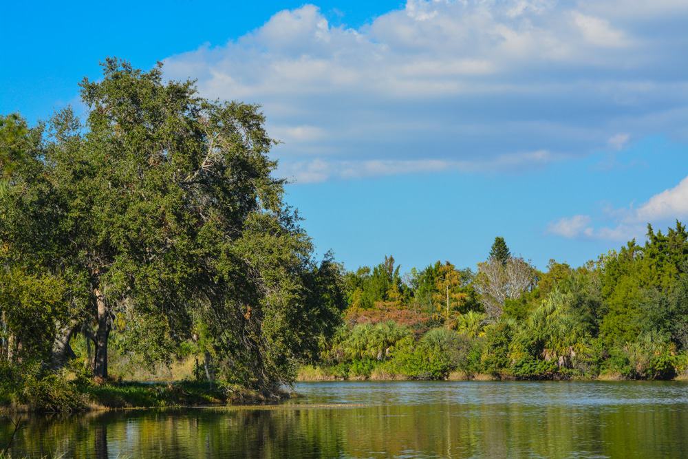 Lake Seminole Park