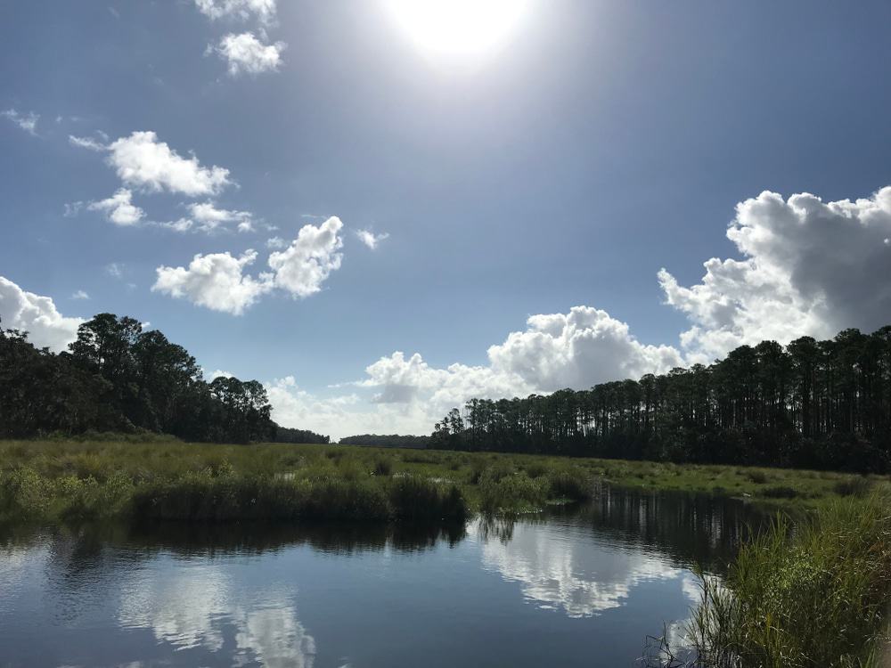Bulow Creek State Park