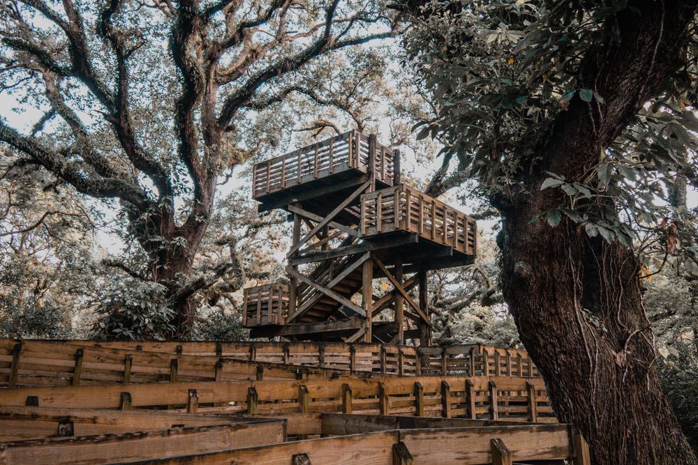 Tree Tops Park, Davie