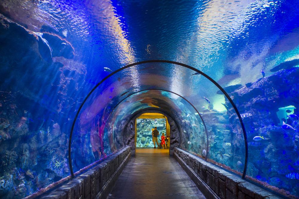 Shark Reef Aquarium, Mandalay