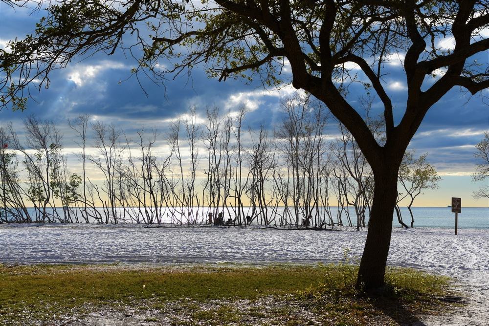 Fort De Soto Park
