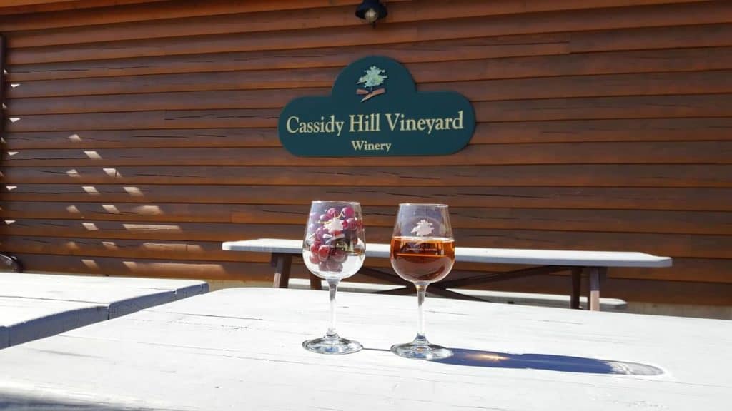 Cassidy Hill Vineyard