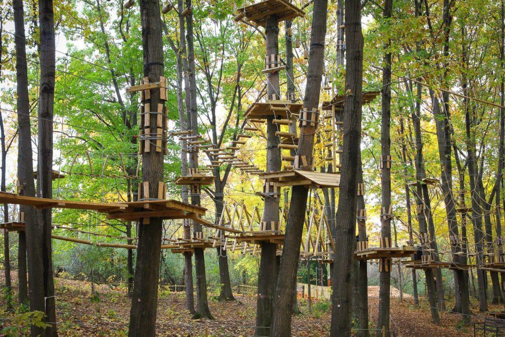 The Adventure Park At Storrs