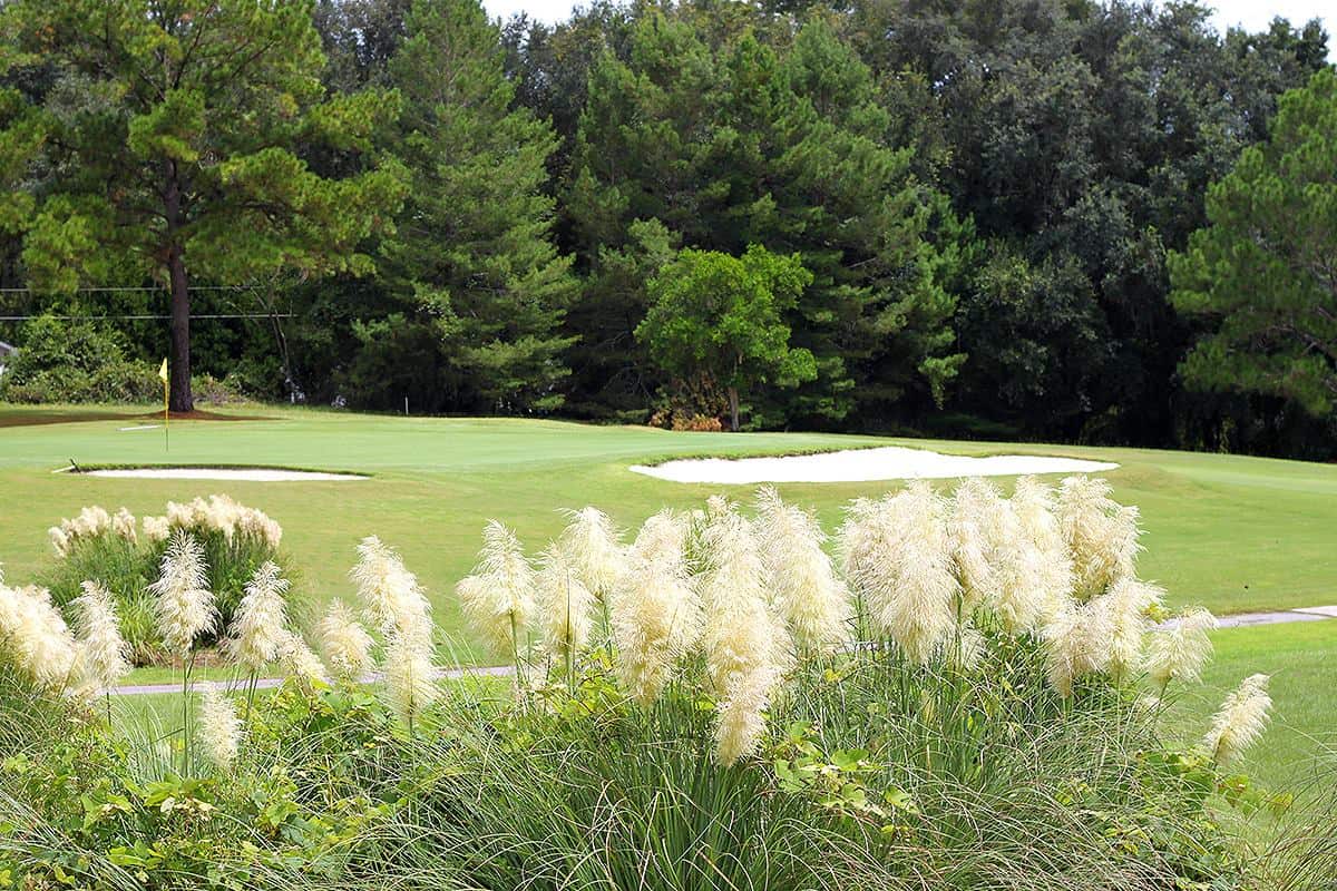 The Country Club At Lake City