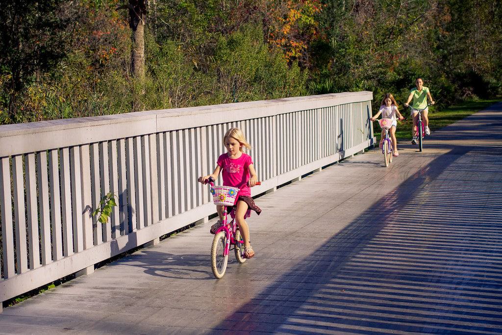 Cross Seminole Trail near Big Tree Park