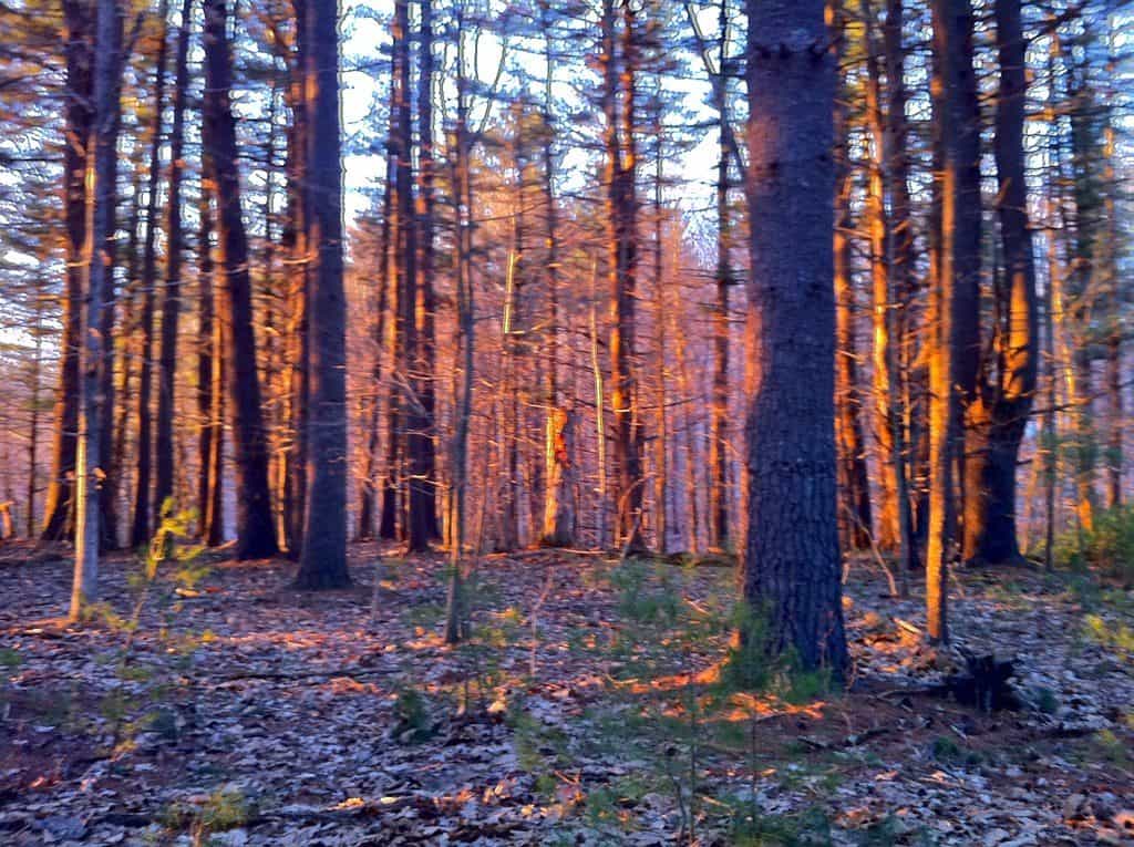 Mansfield Hollow State Park