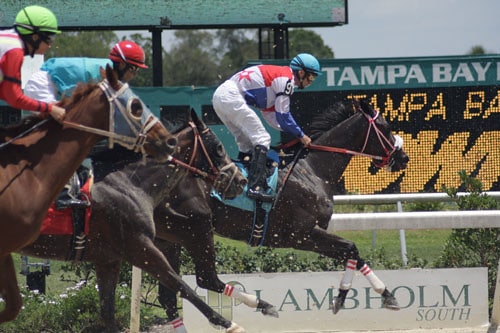 Tampa Bay Downs