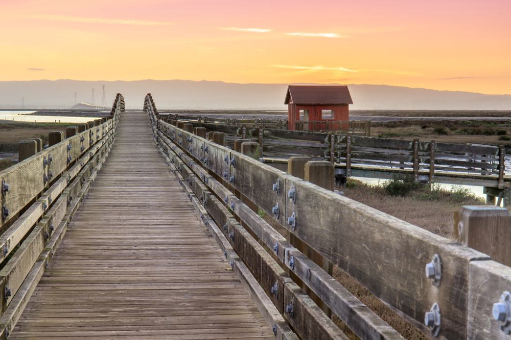 Don Edwards San Francisco Bay National Wildlife Refuge
