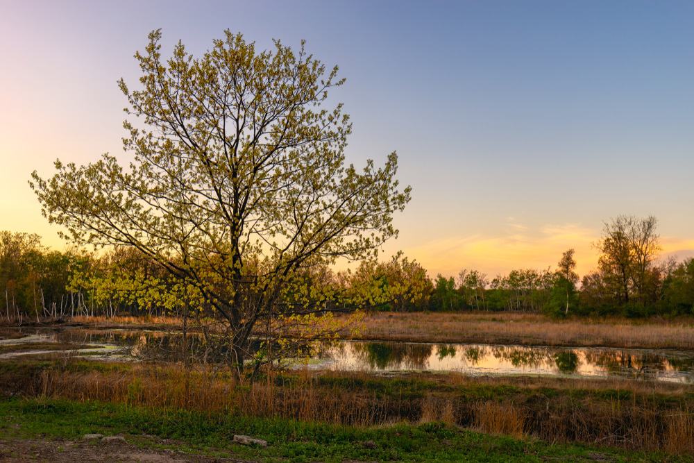 Silver Sands State Park