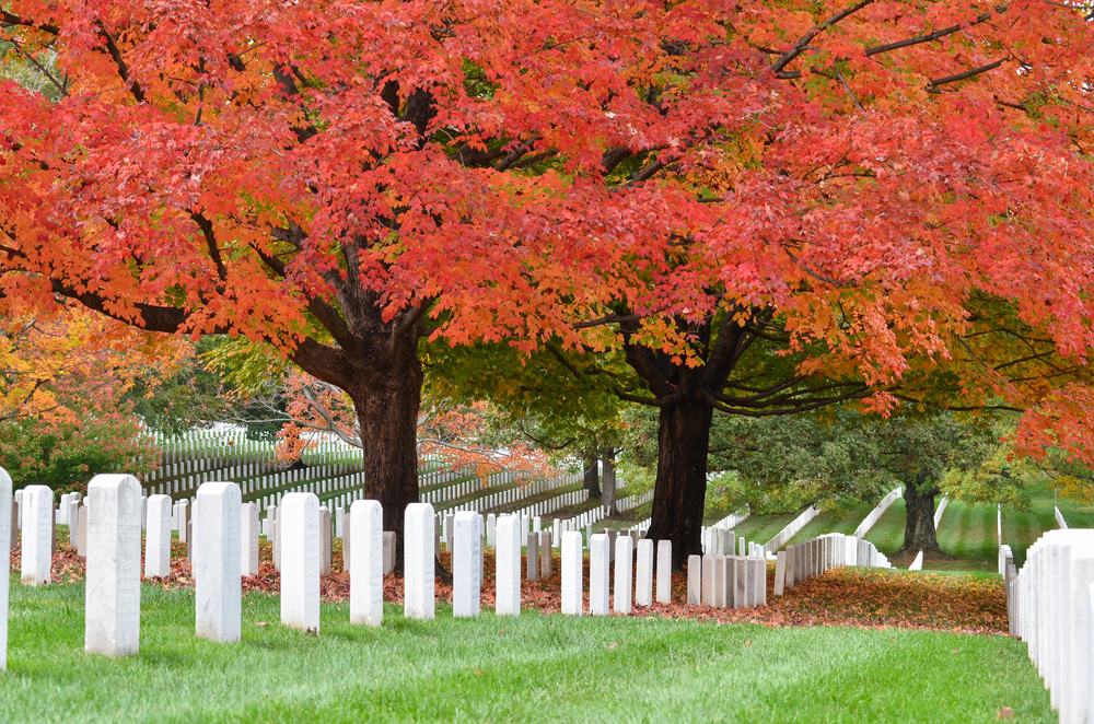 Arlington National Cemetery