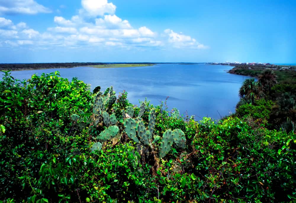 View from Turtle Mound