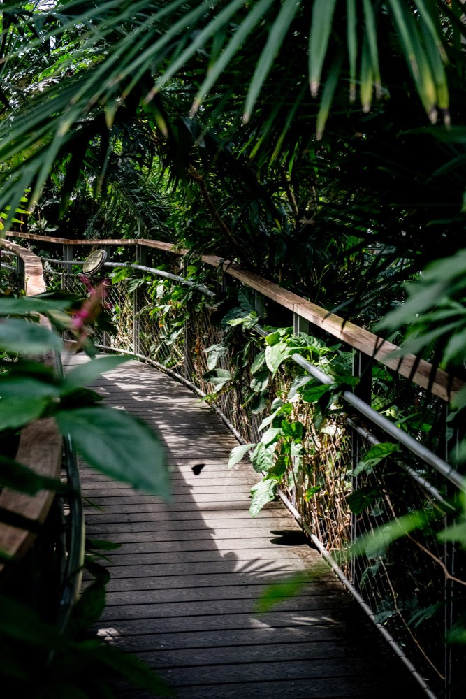 Texas Discovery Gardens, Dallas