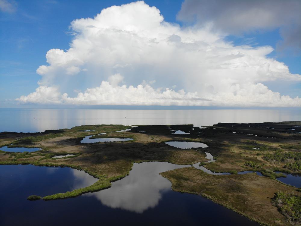 Werner Boyce Salt Springs State Park