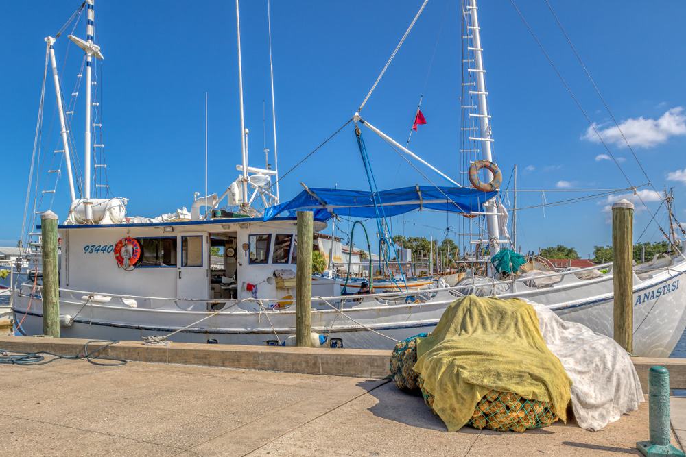 Tarpon Springs Sponge Docks