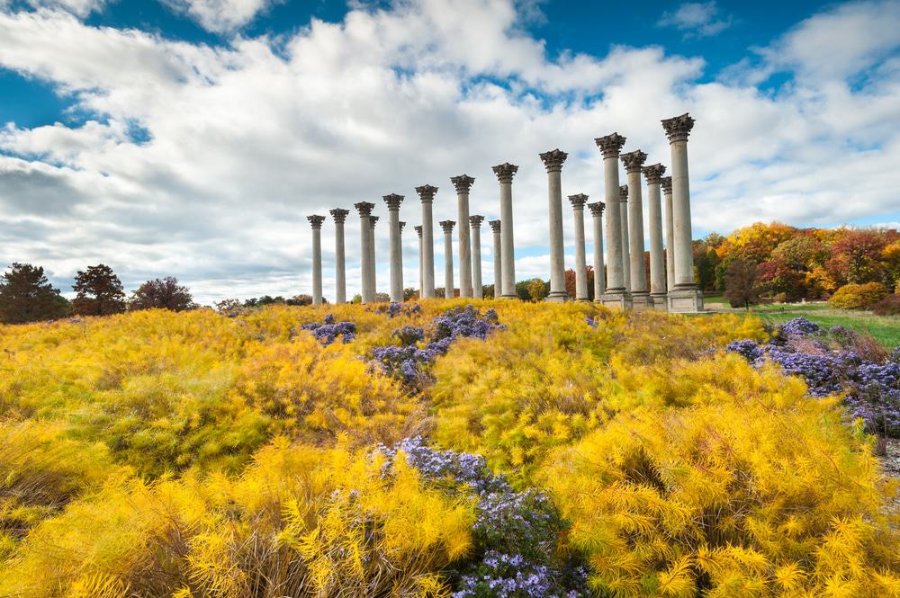 United States National Arboretum