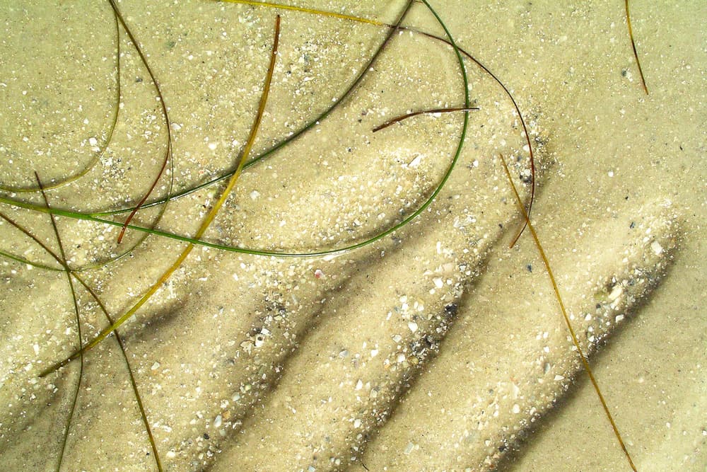 Green Key Beach