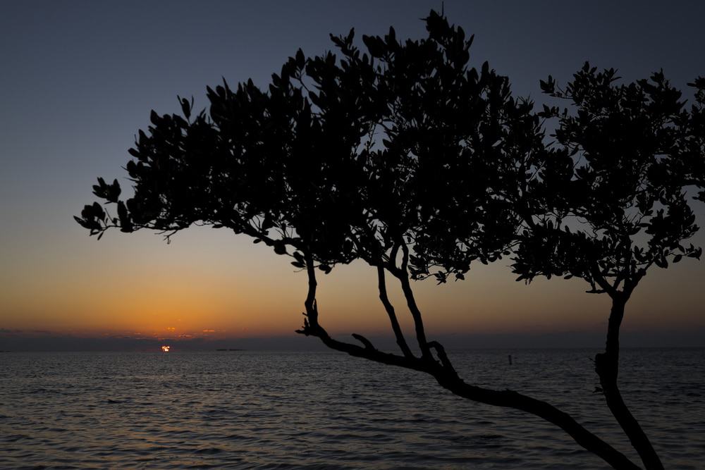 Sunset at Sunset Beach, Tarpon Springs