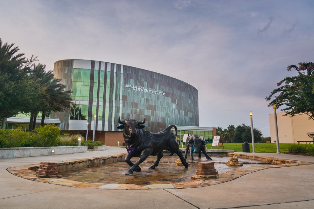 University Of South Florida, Tampa