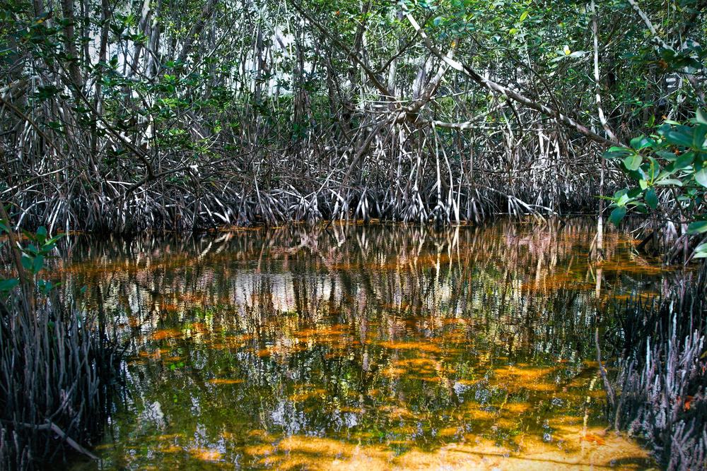 Biscayne National Park