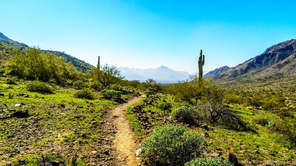 South Mountain Park, Phoenix