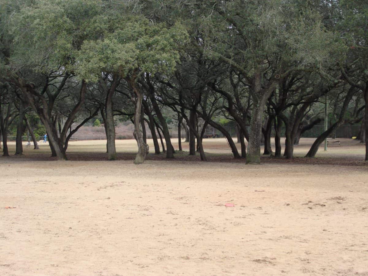 Niceville Dog Park
