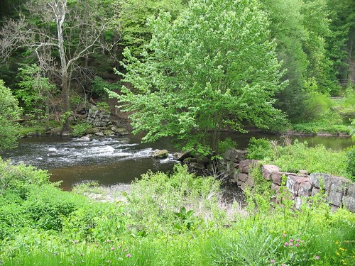 Quinnipiac Linear Trail