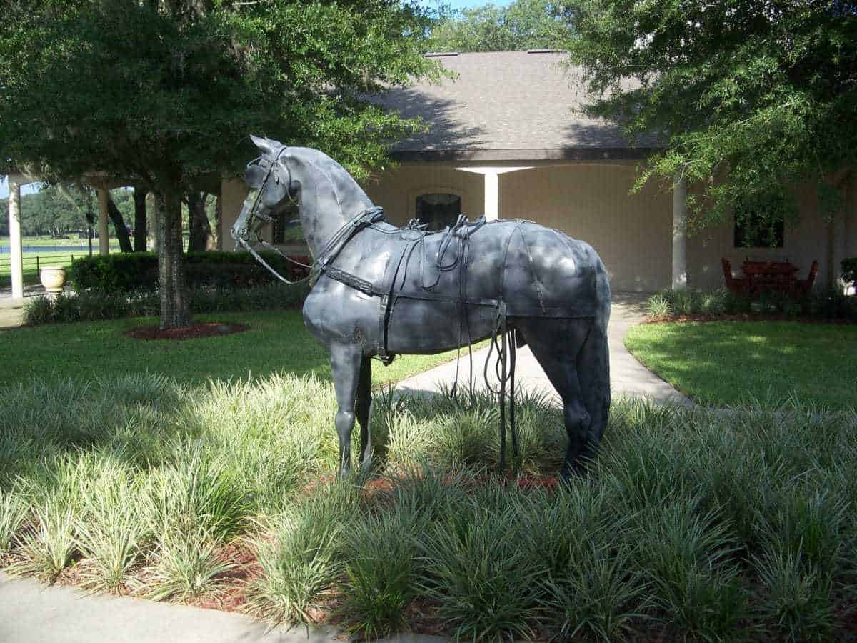 Grand Oaks Museum and Resort