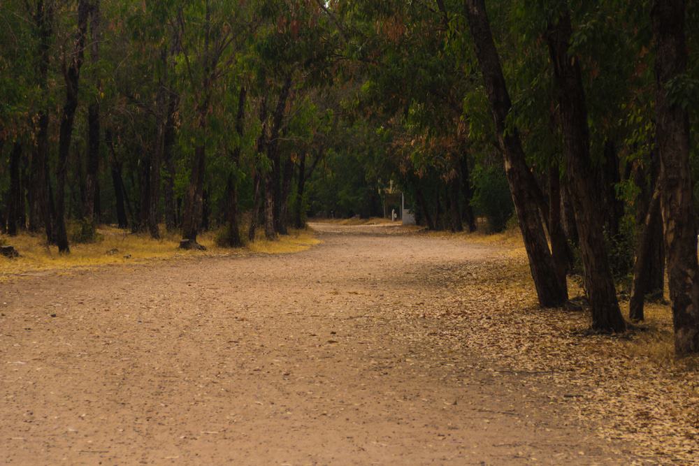 Forêt de Bouskoura-Merchich
