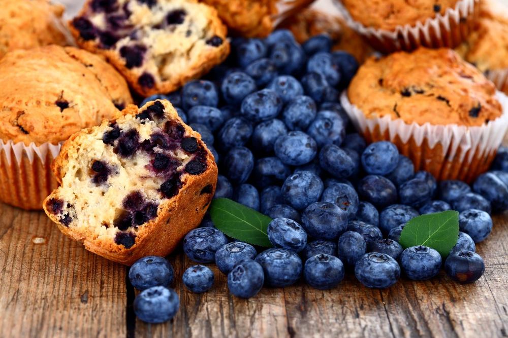 Blueberry Muffins