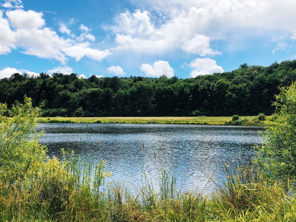 Sunnybrook State Park