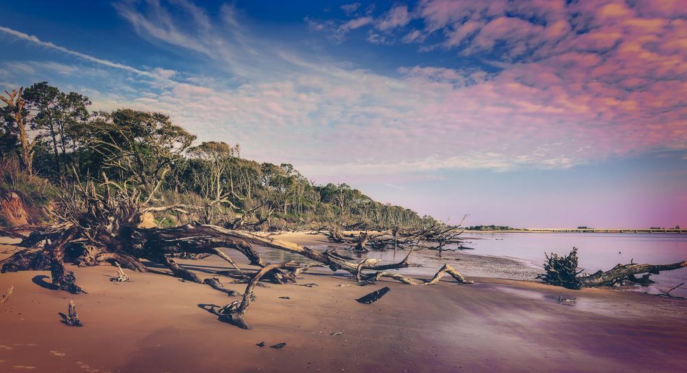 Big Talbot Island State Park