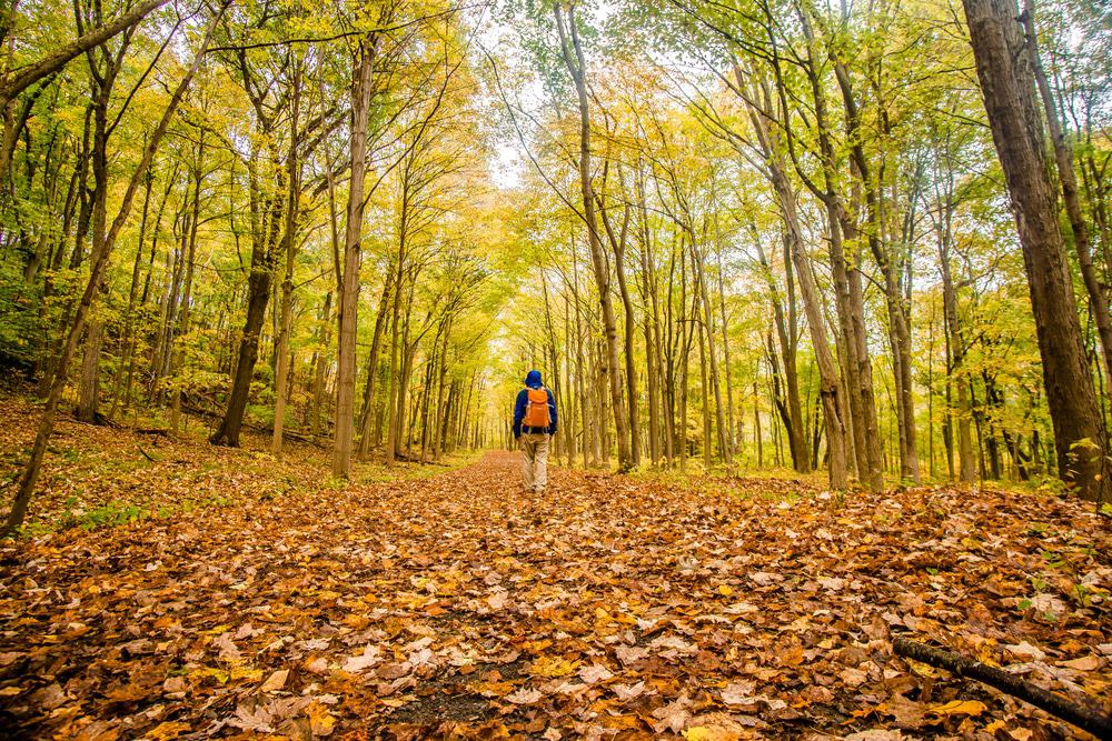 Sleeping Giant State Park