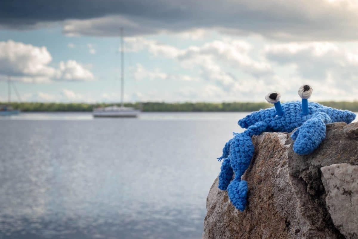 Blue Crab Festival