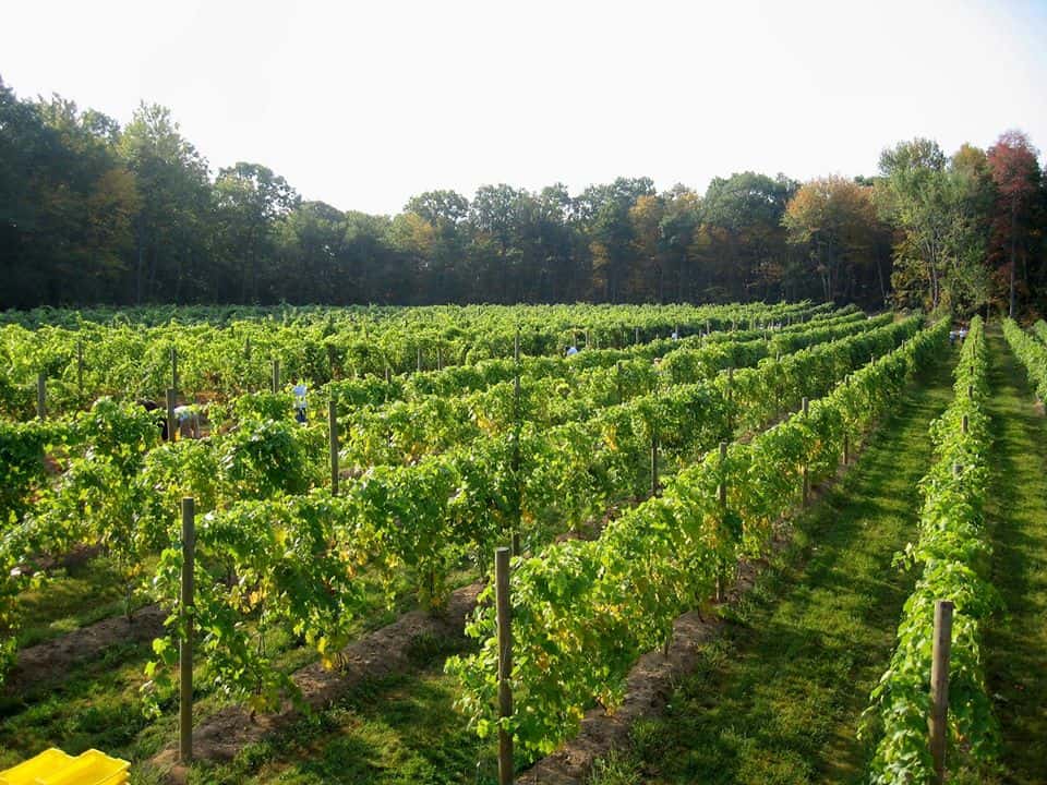 Crystal Ridge Winery