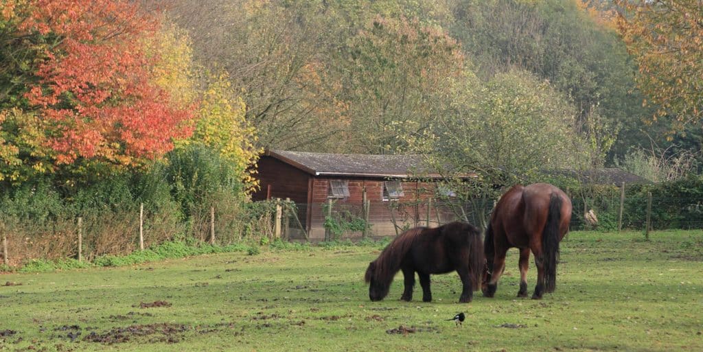 Ferme Nos Pilifs