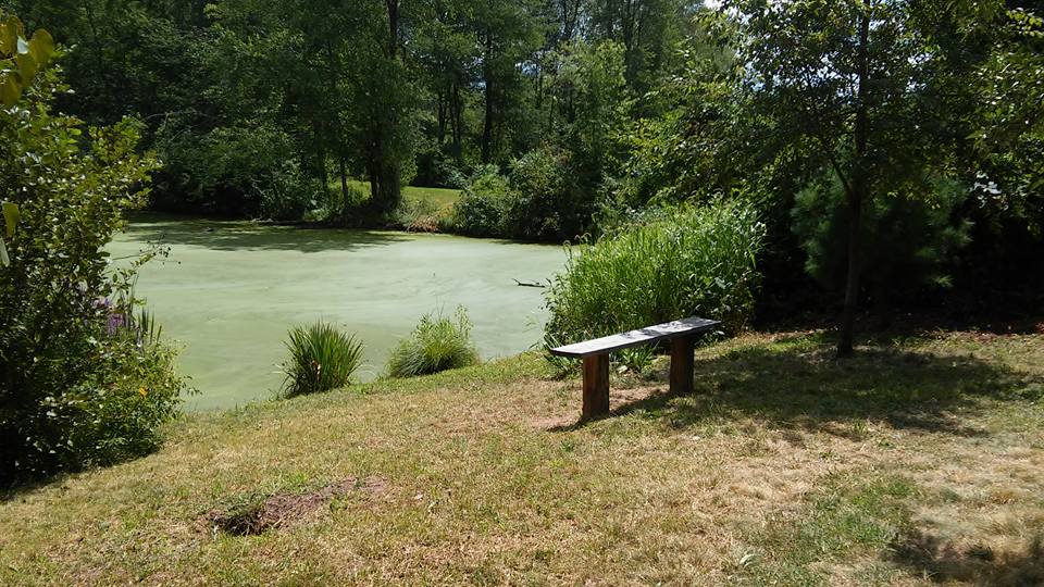 Hockanum River Trails