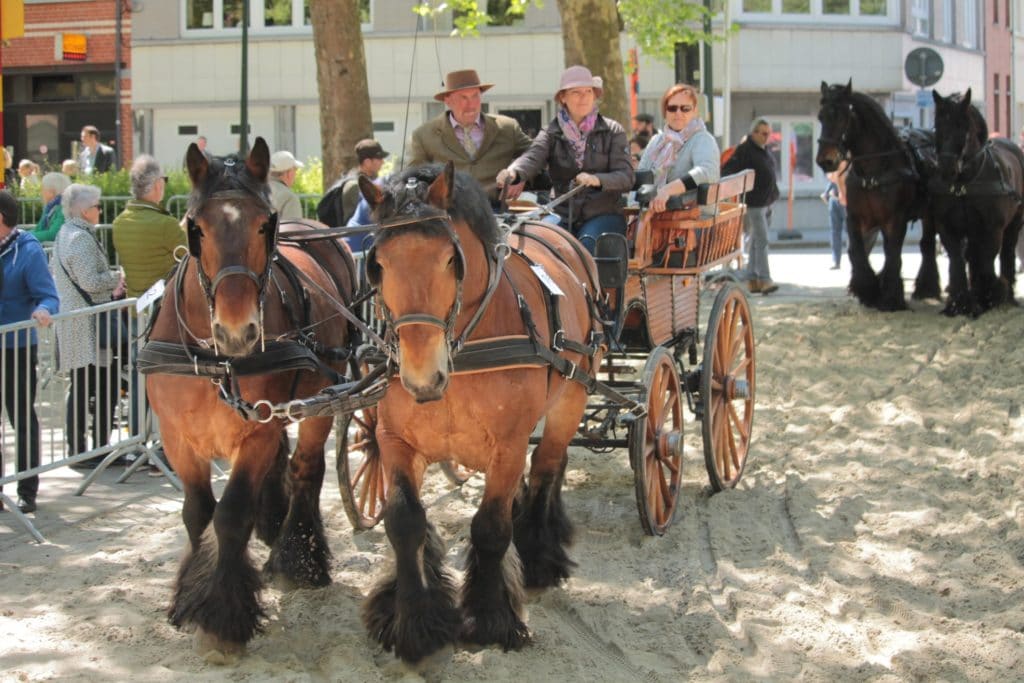 Jaarmarkt