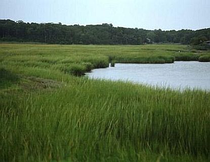 Farm River State Park