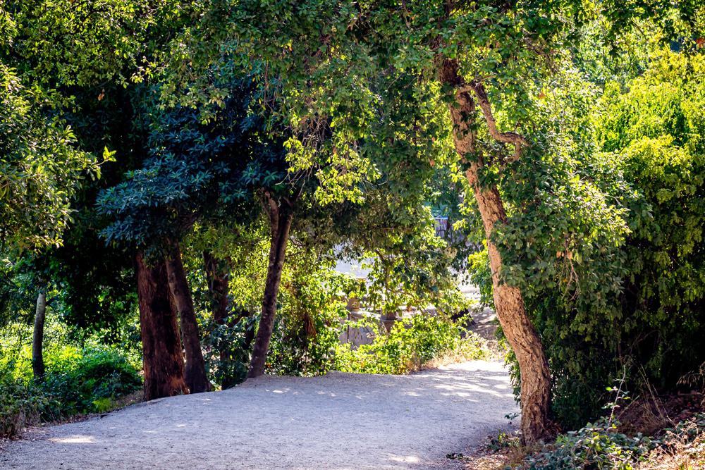 Parc Perdicaris (Parc Rmilat)