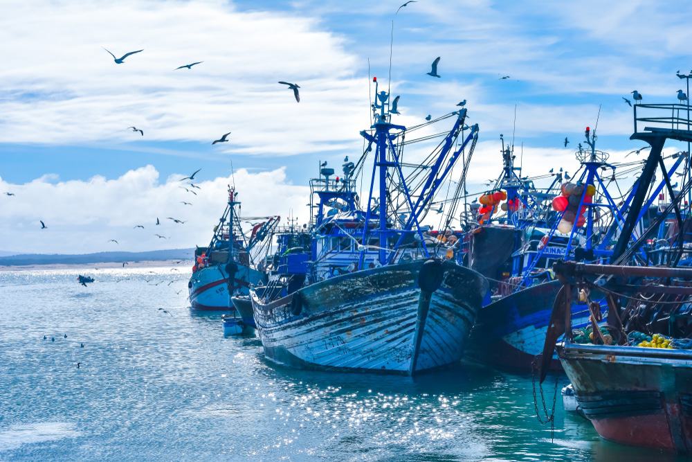 Fishing Port, Essaouira