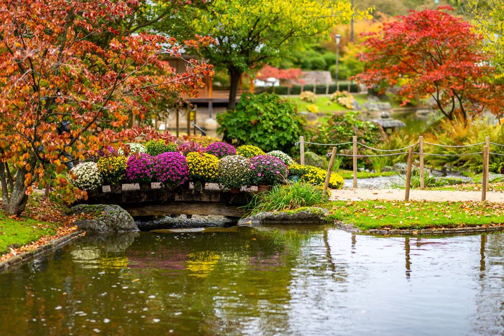 Japanse Tuin