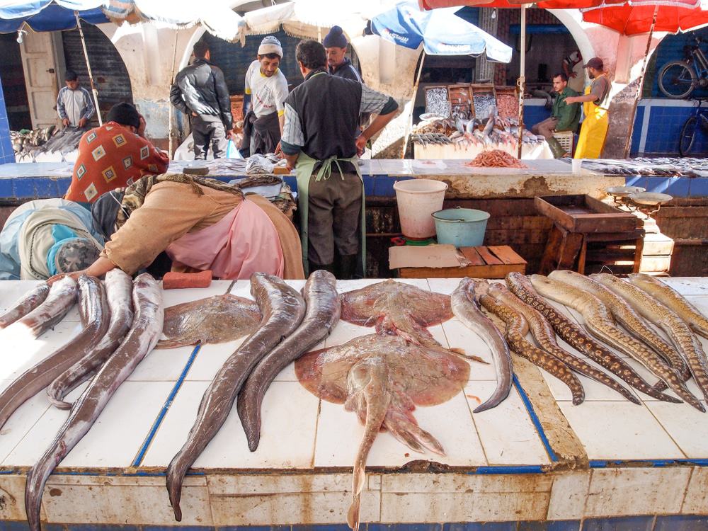 Fish Market, Essaouira