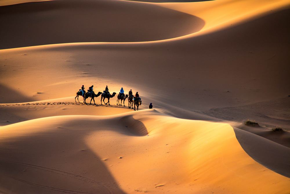 Erg Chebbi Camel Trek