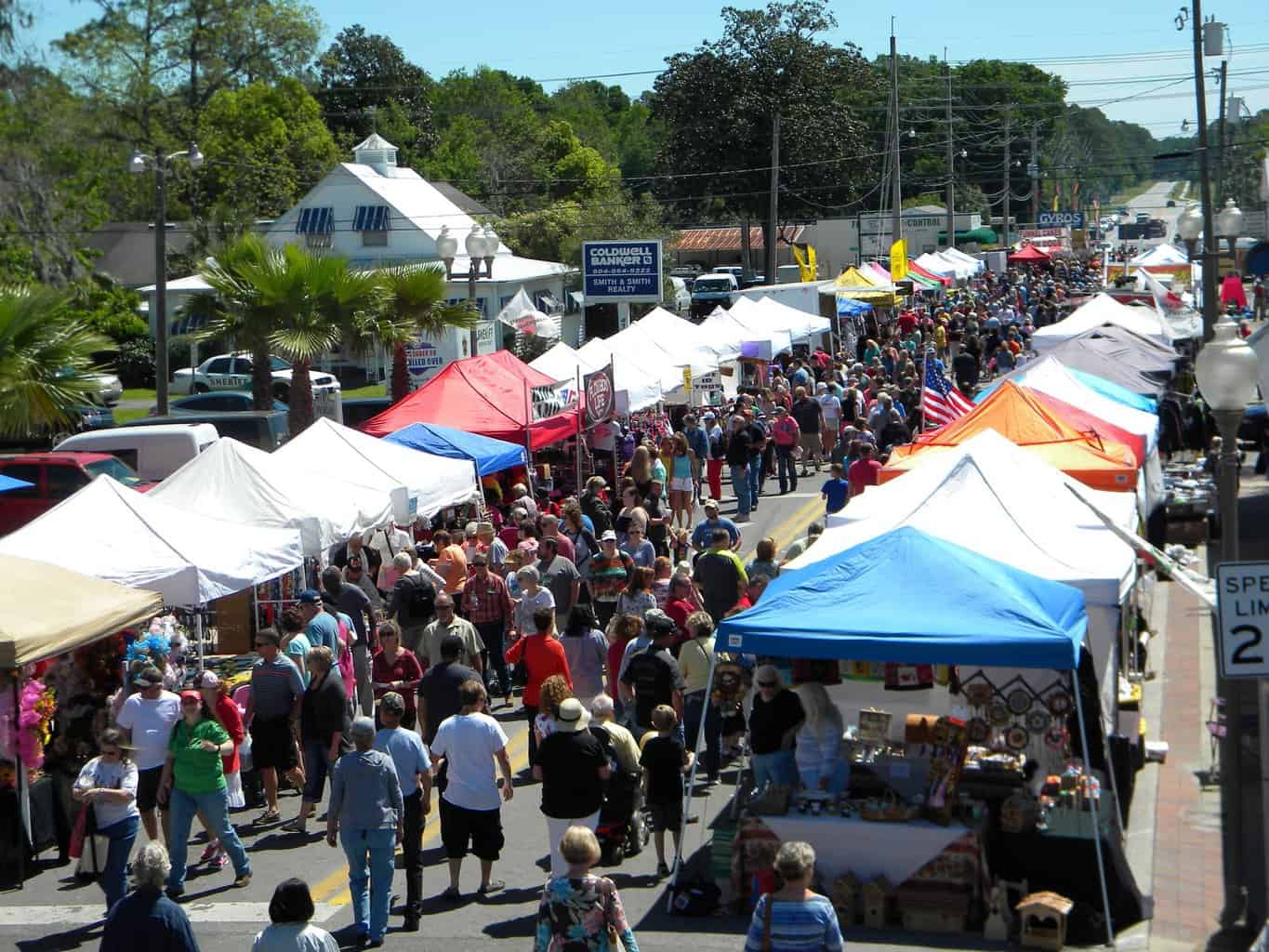 Bradford County Strawberry Festival