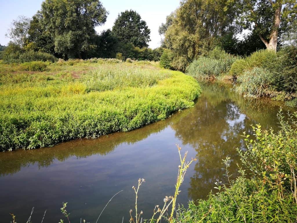 De Kevie