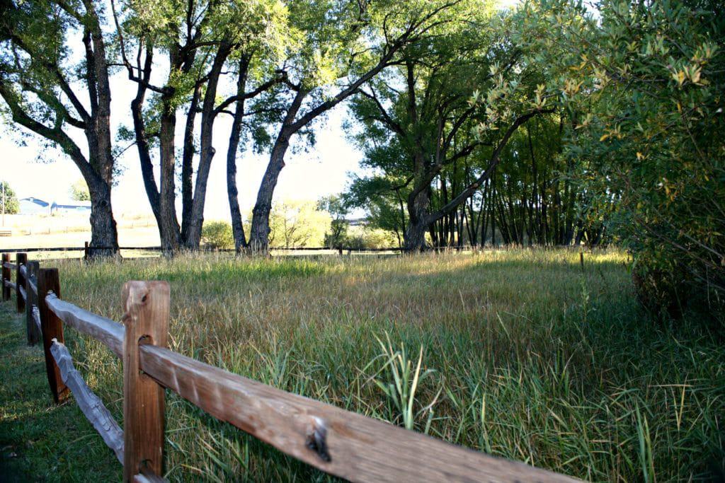 Dirty Woman Creek Park